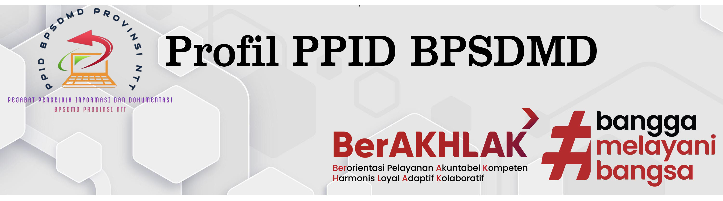 Profil PPID BPSDMD NTT